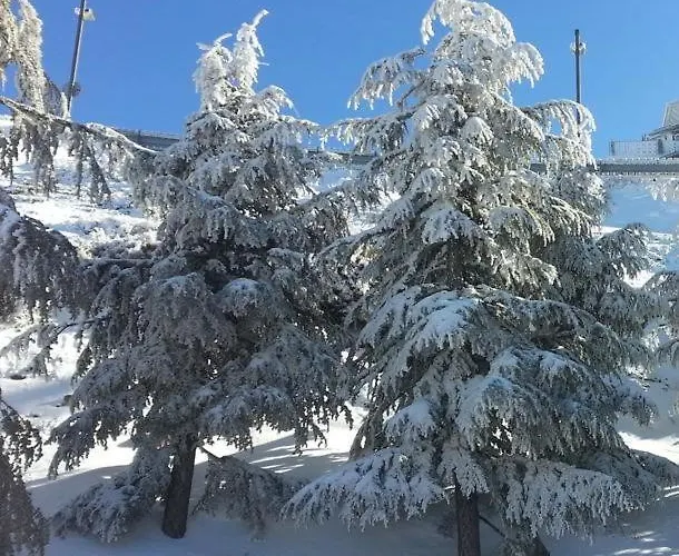 Ginebra アパート